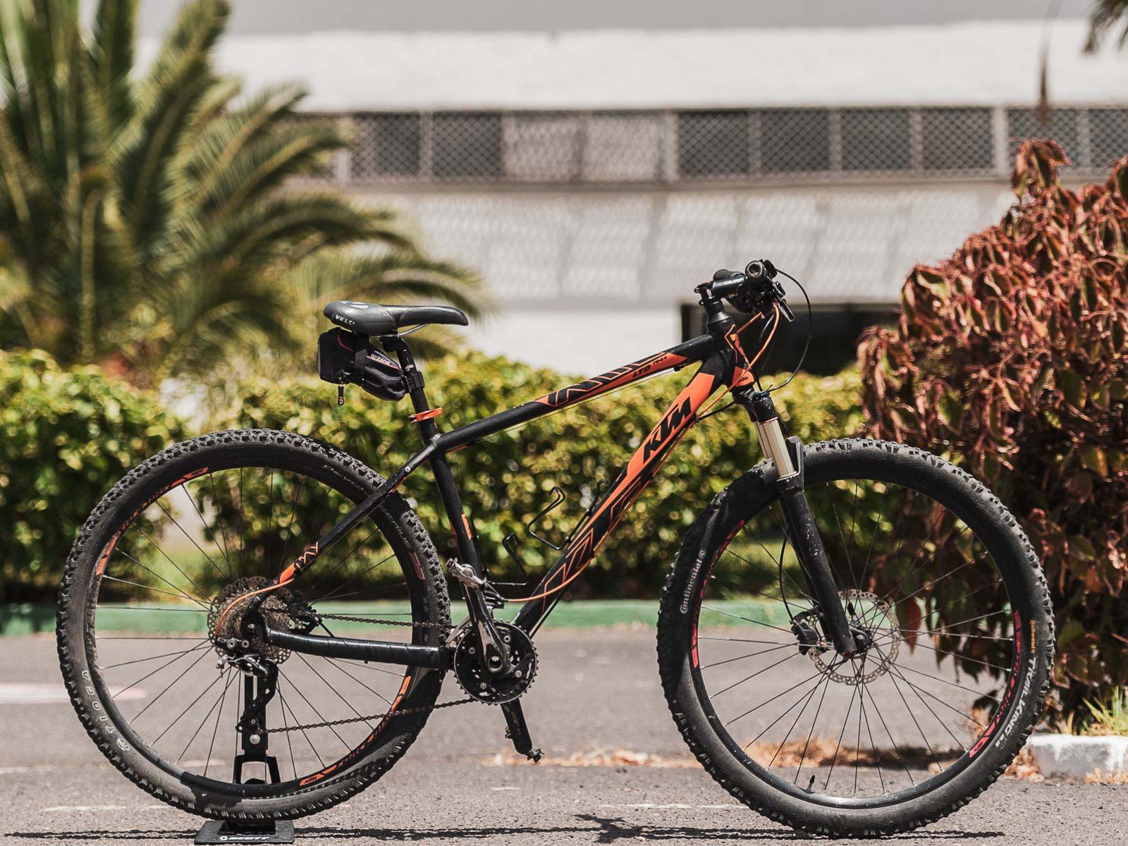 fahrrad an der costa calma mieten