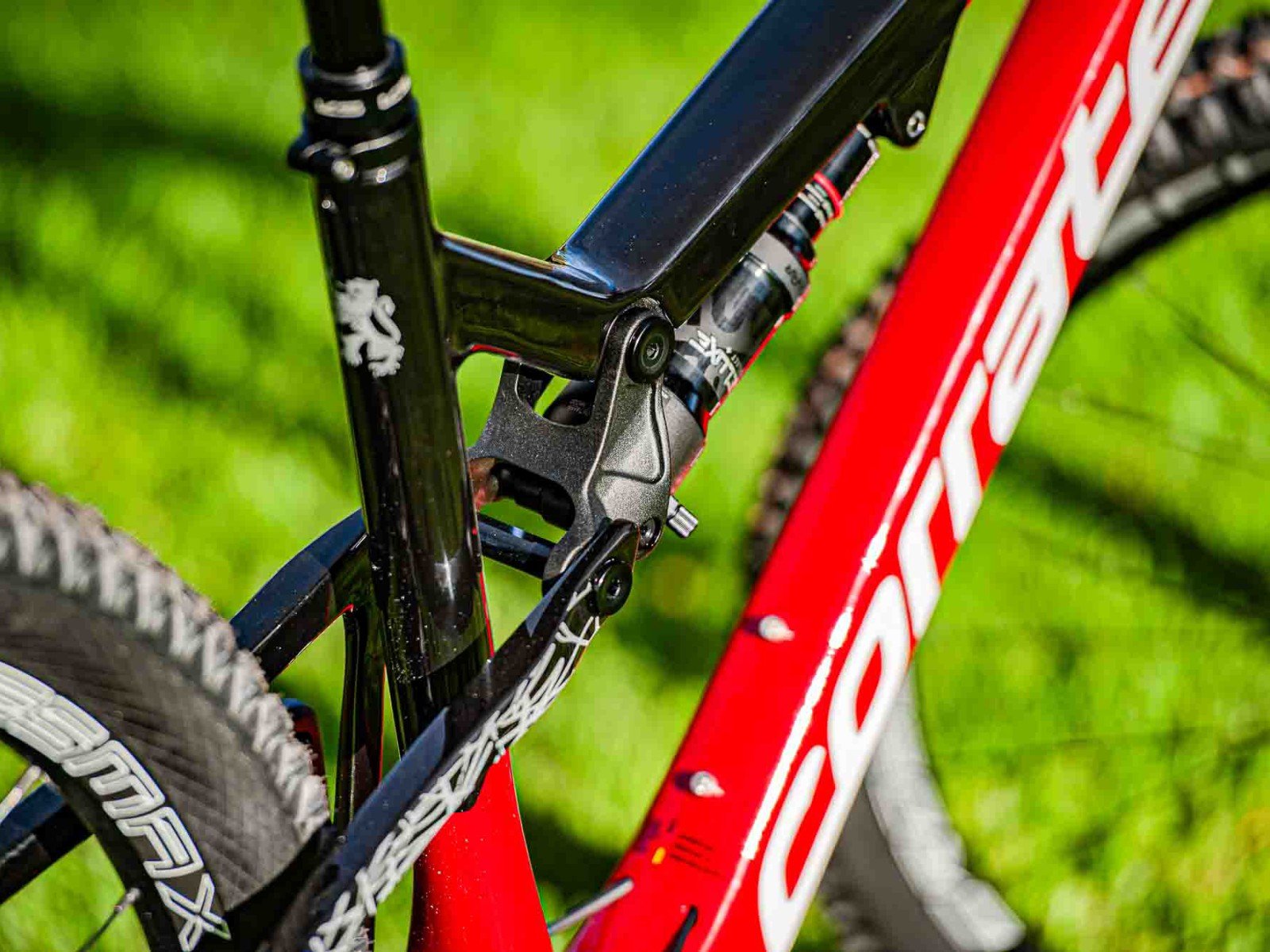 Bike Rental Fuerteventura Fully